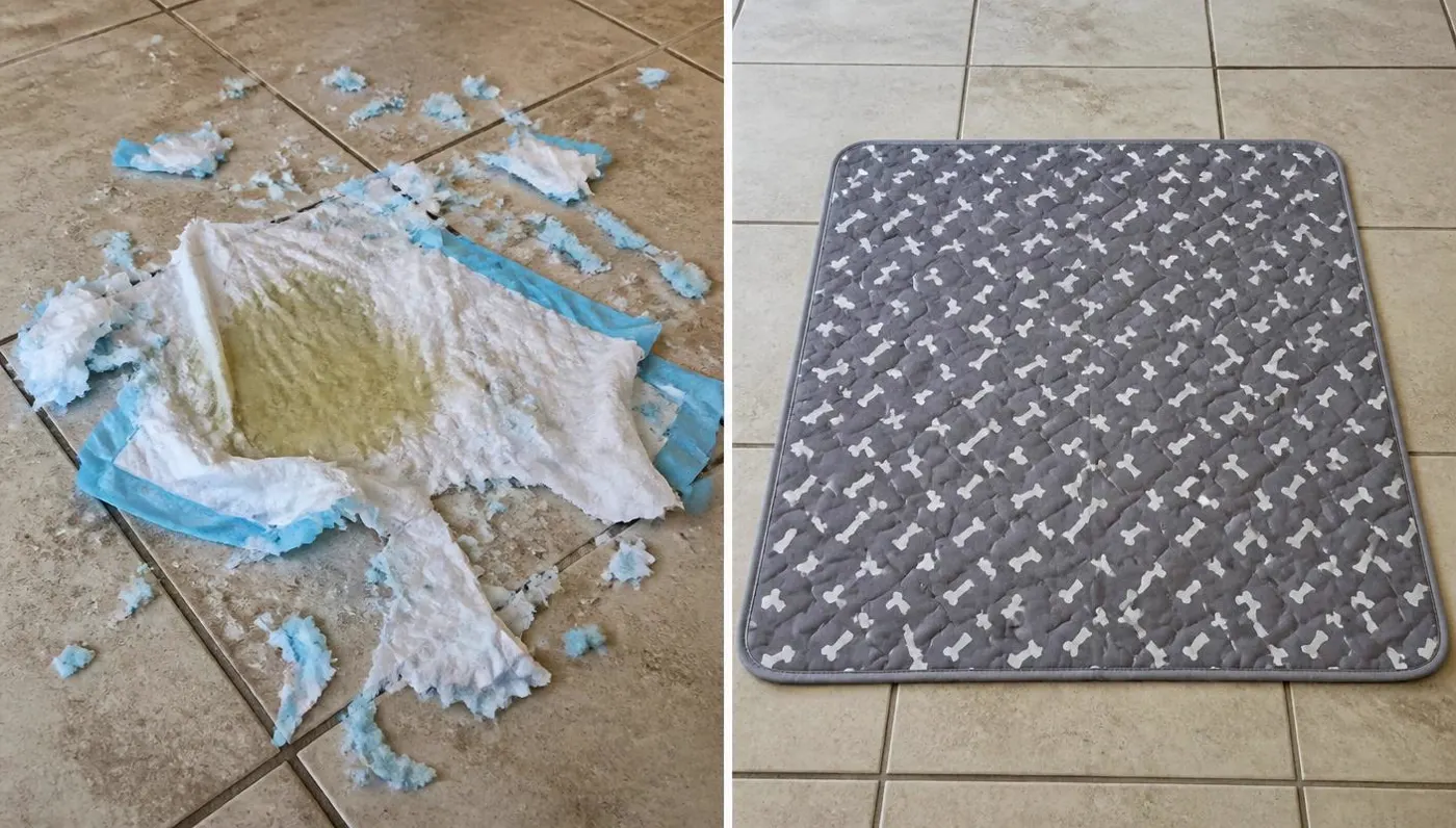 A shredded disposable pad next to an intact HappyPaw pad